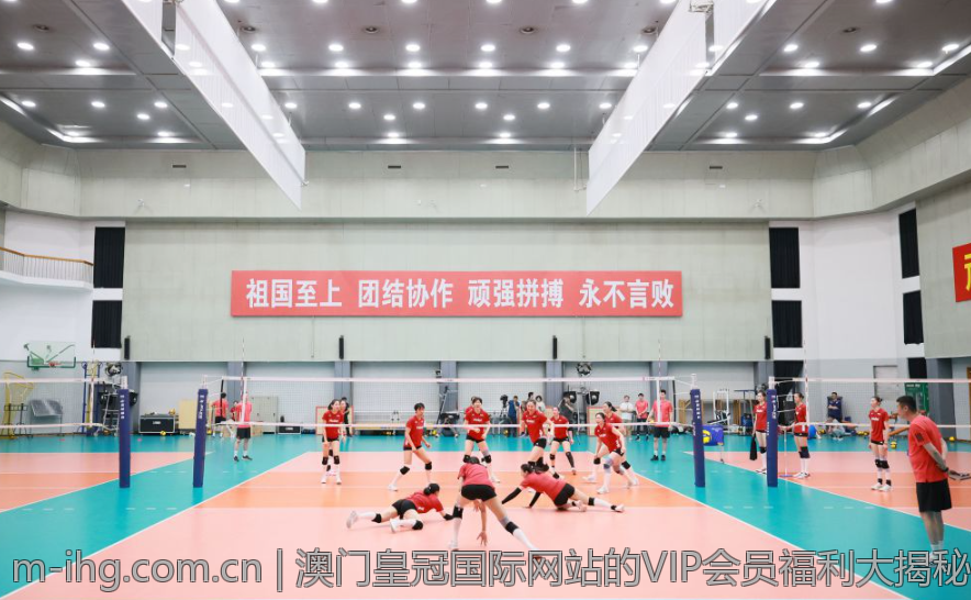 澳门皇冠国际网站的VIP会员福利大揭秘